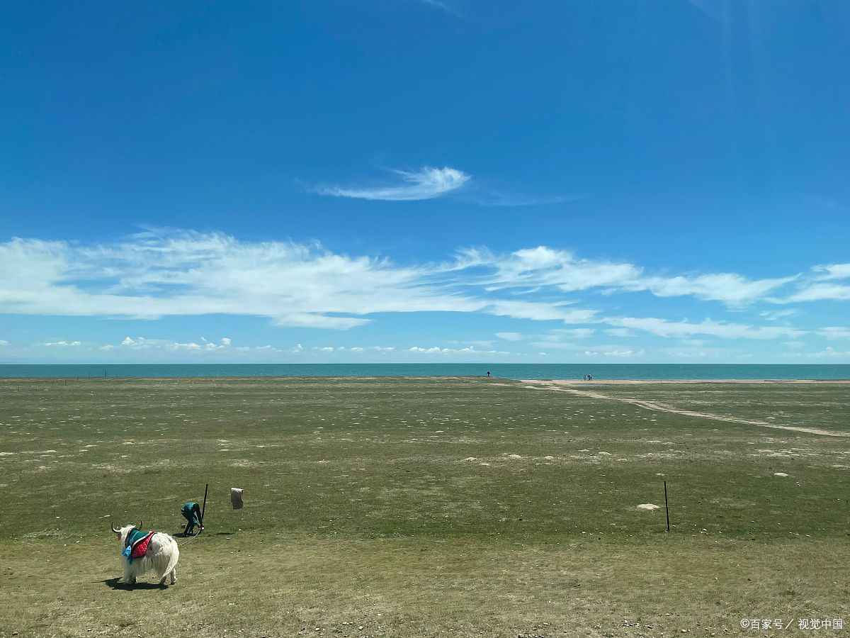 青海跟团价格